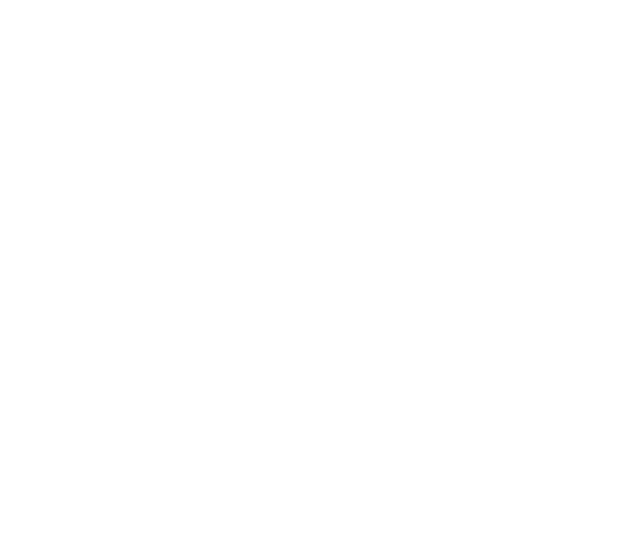 Bip Telecom Internet – A melhor Internet a um Bip de distância.